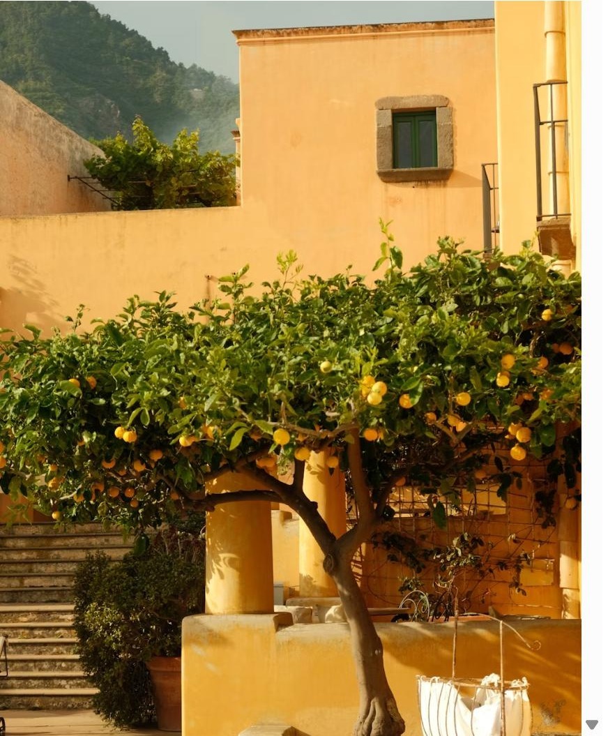 A lemon tree in a sunlit ochre courtyard beside stone steps